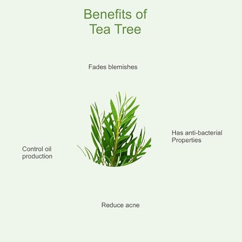 Ayurvedic Tea Tree Face Serum For Acne Prone Skin With Tea Tree & Lemon For Acne & Pimples, 30ml